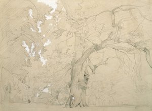 Ein junger Mann vor einer großen Eiche